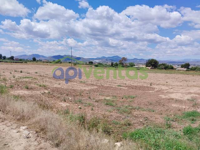 Terreno residencial en Venta en Purias
