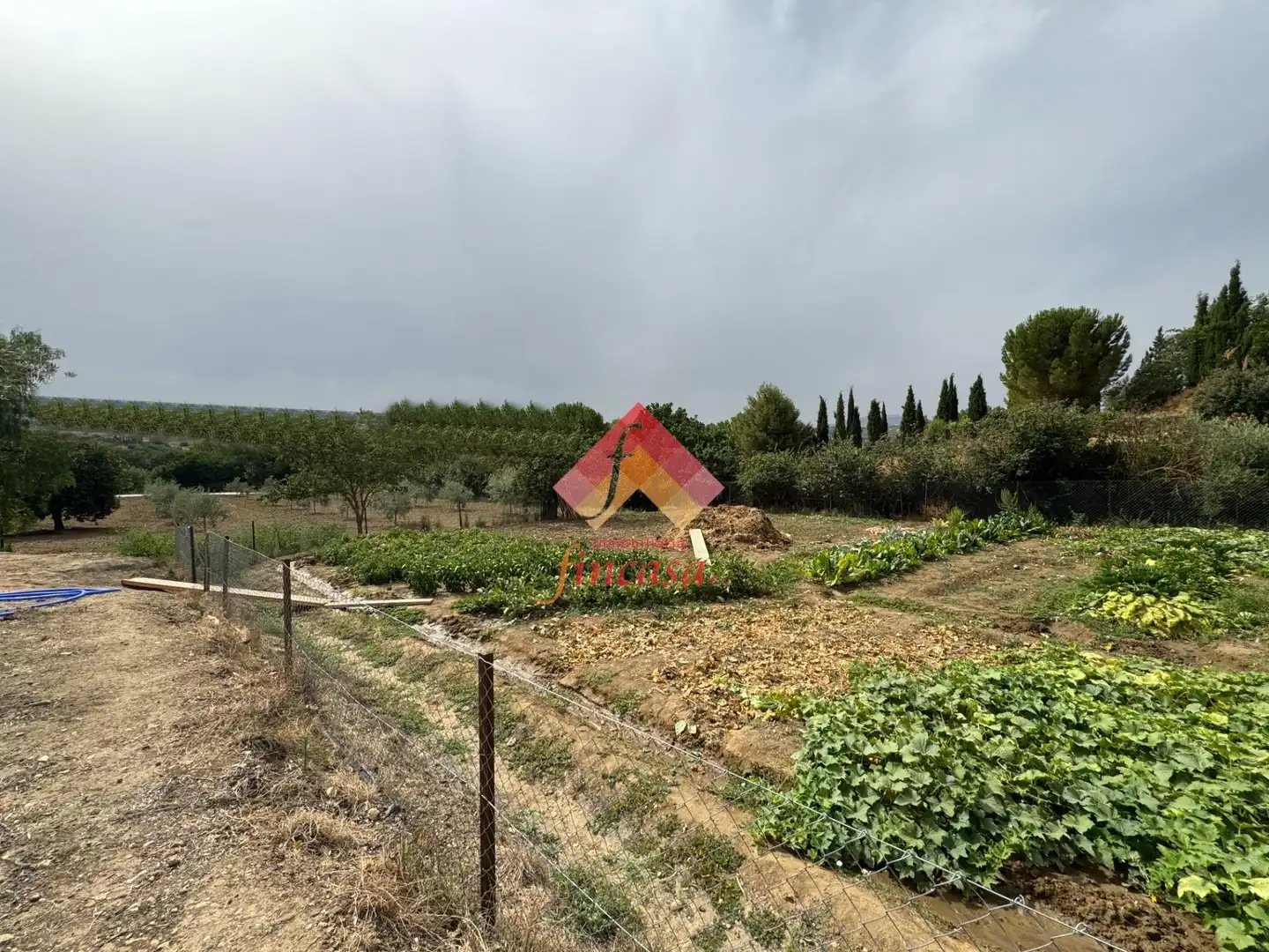 Finca rústica en venda en Ronda amb Traster