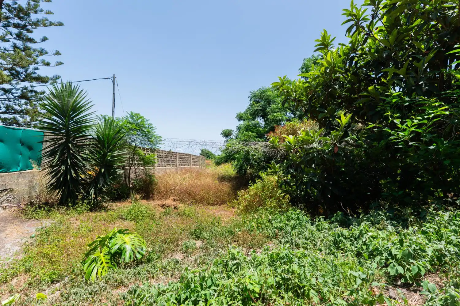 Maison mitoyenne à vendre à Los Silos, imagen 15