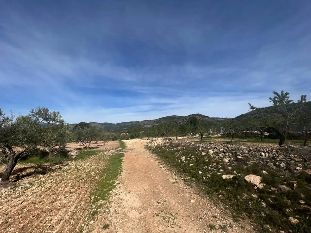 Chalet con jardín en venta en Calle Poligono, imagen 78