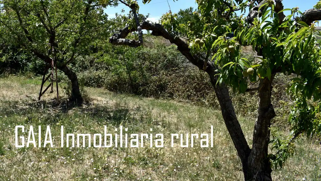 Terreni e lotti in vendita a Maella, imagen 5