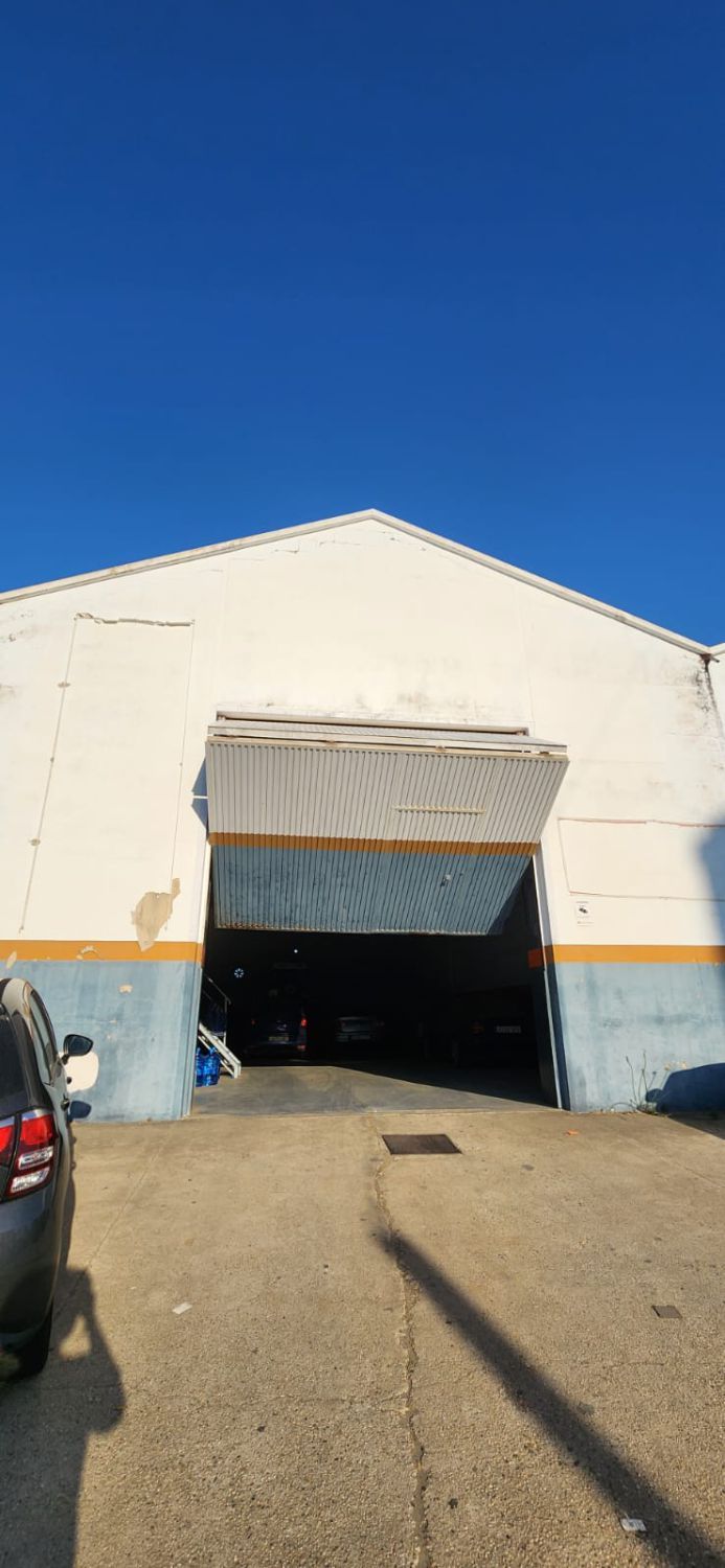 Exterior view of Industrial buildings for sale in Gibraleón