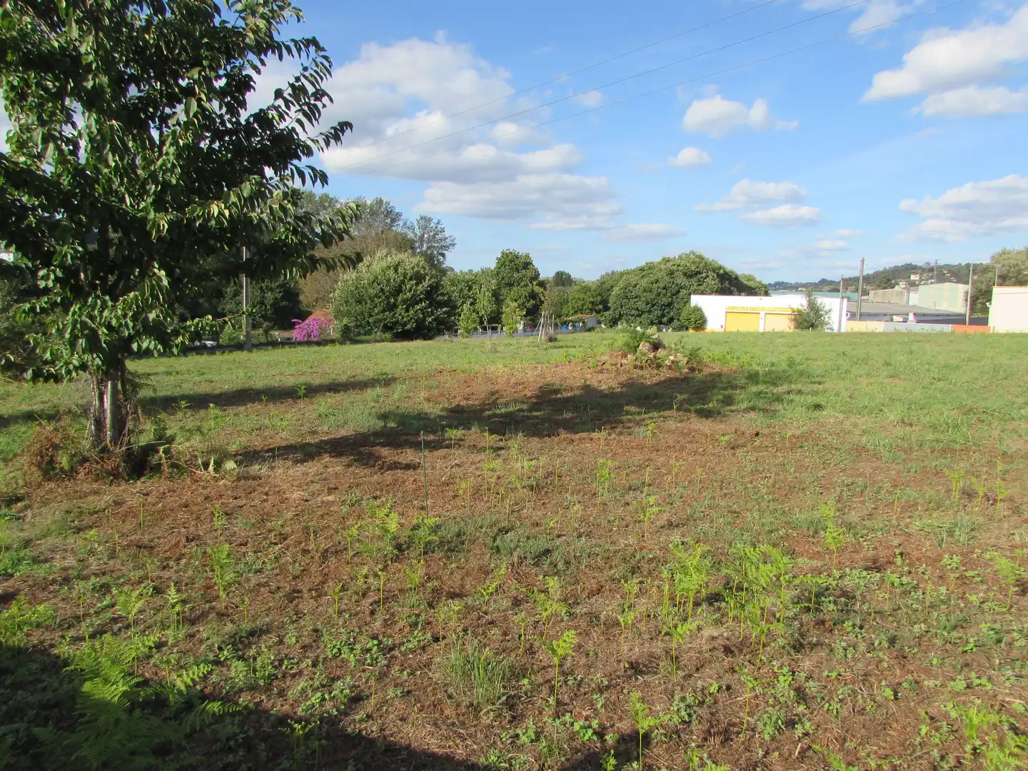 Residencial en venta en Cambre 