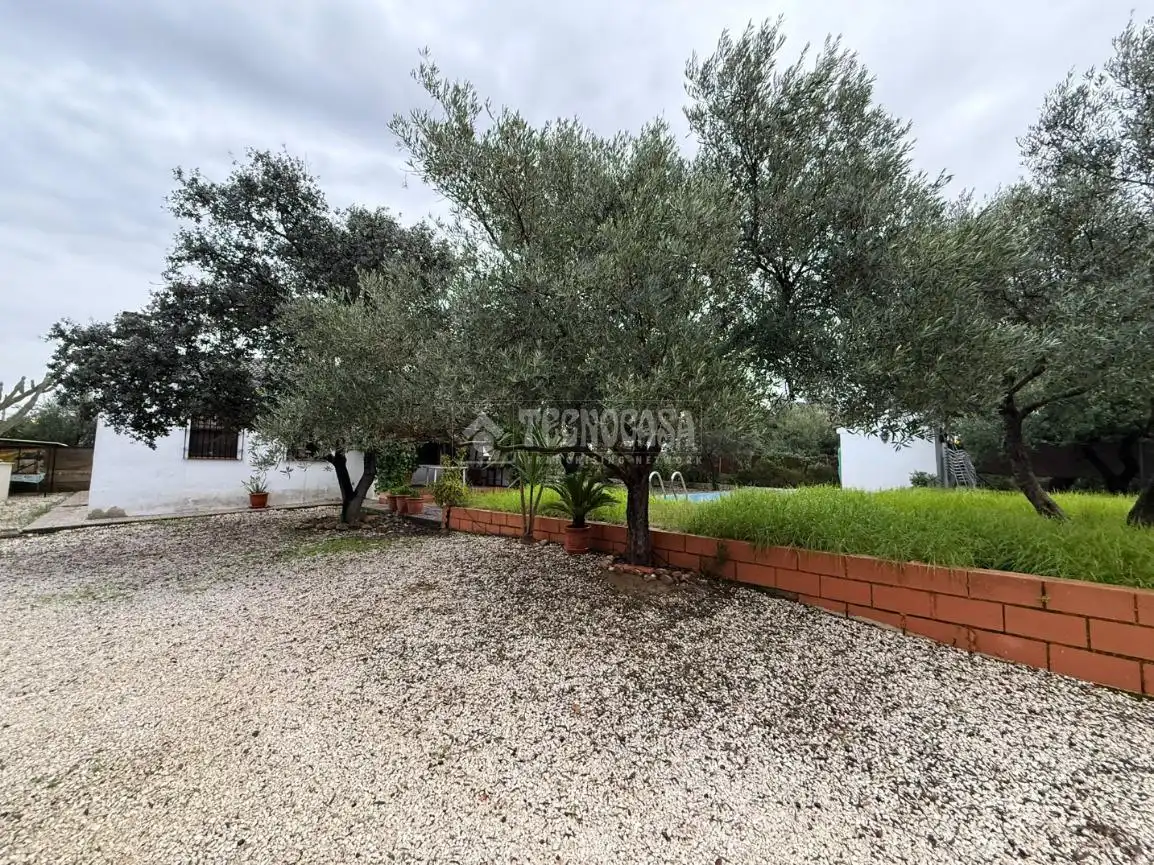 Finca rústica en venta en Los Eucaliptos, La Carlota