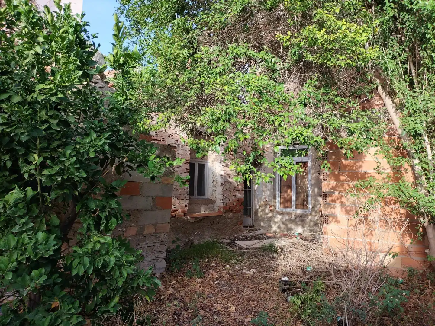 Jardí de Casa o xalet en venda en Las Torres de Cotillas amb Terrassa i Traster