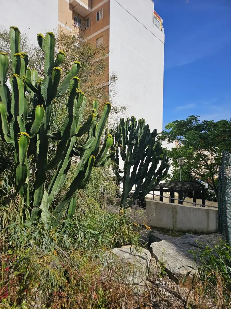 Jardí de Pis en venda en Estepona amb Jardí privat, Moblat i Balcó