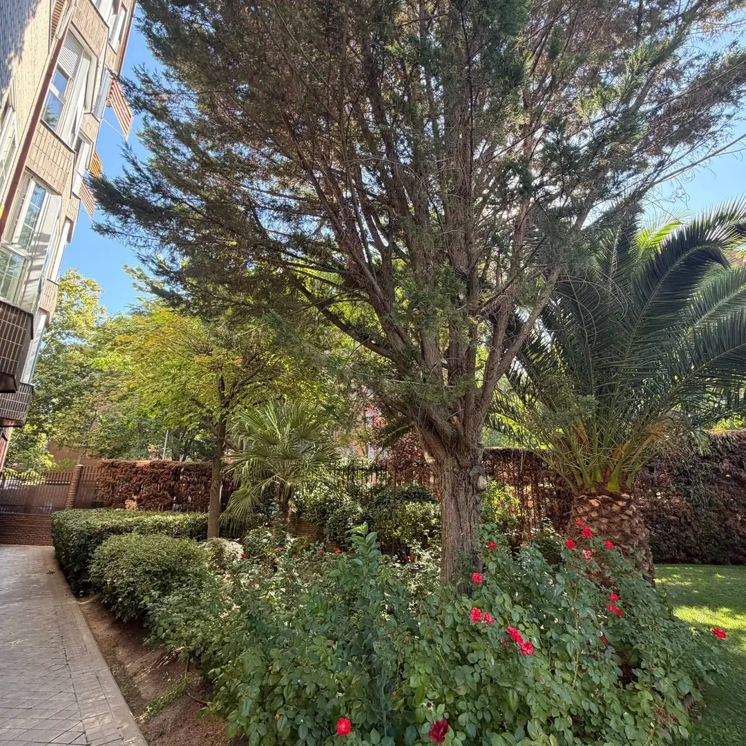 Jardín de Piso en venta en Madrid con Piscina comunitaria