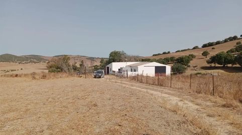 Foto 2 de Finca rústica en venda a Ca-5201, 16, Vejer, Vejer de la Frontera