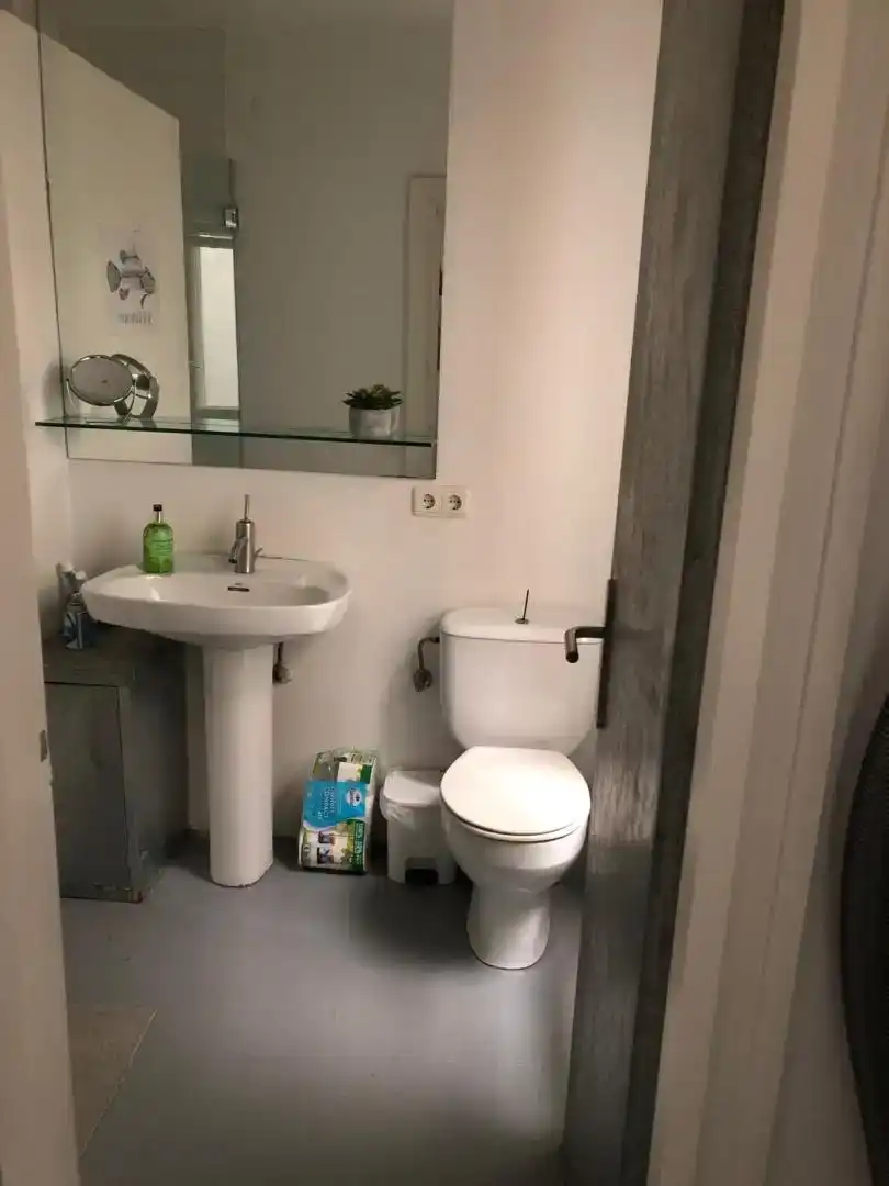 Badezimmer von Wohnungen zur Miete in Donostia - San Sebastián 