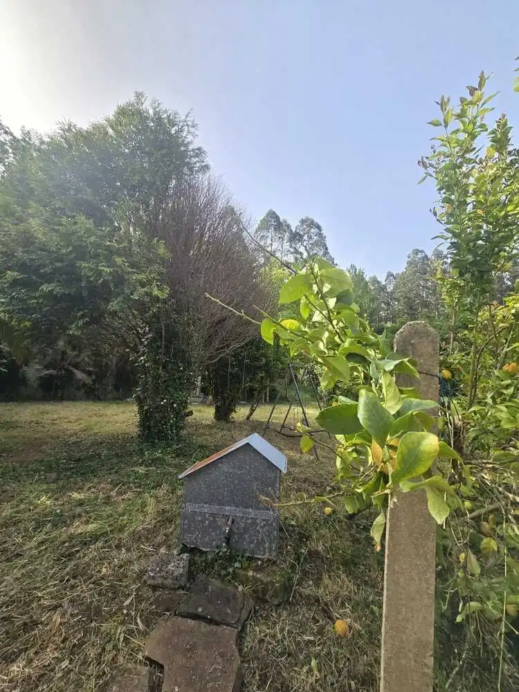 Country homes for sale in Cedeira  with Private garden