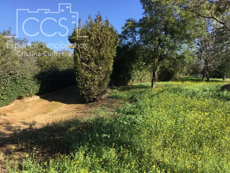 Villa avec piscine à vendre à Sanlúcar la Mayor, imagen 26