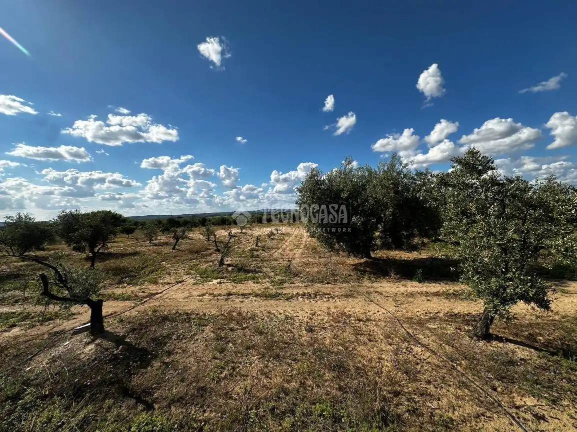 Land for sale in Guareña