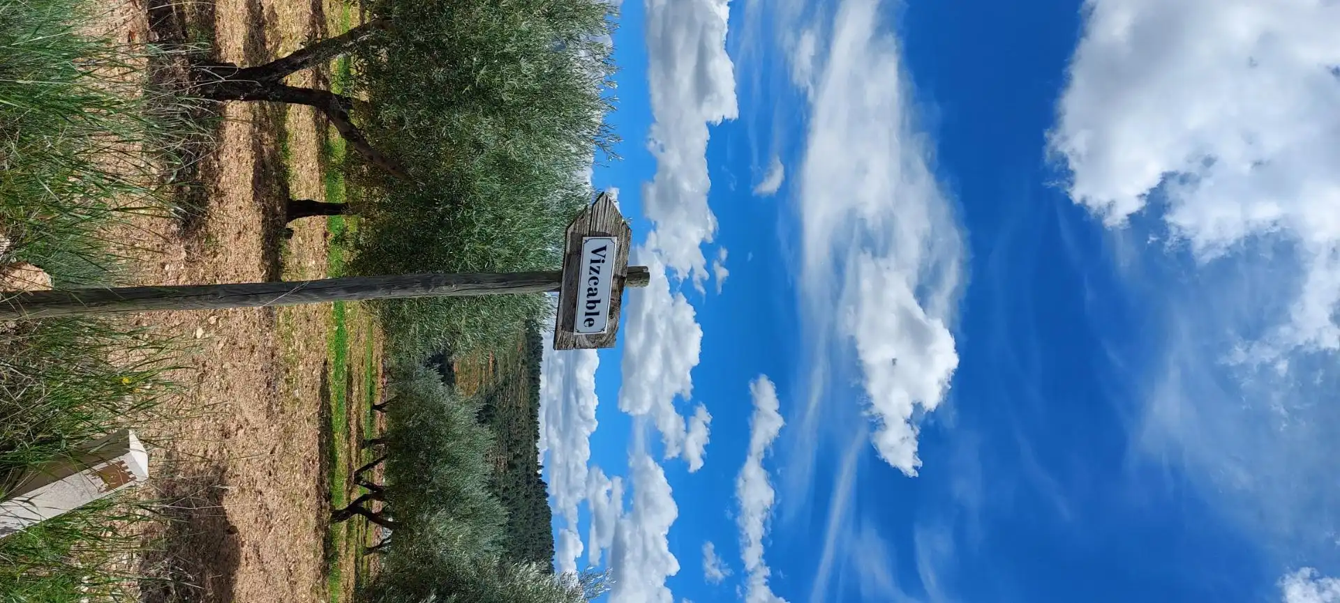 Vista exterior de Finca rústica en venta en Nerpio con Jardín privado, Terraza y Amueblado