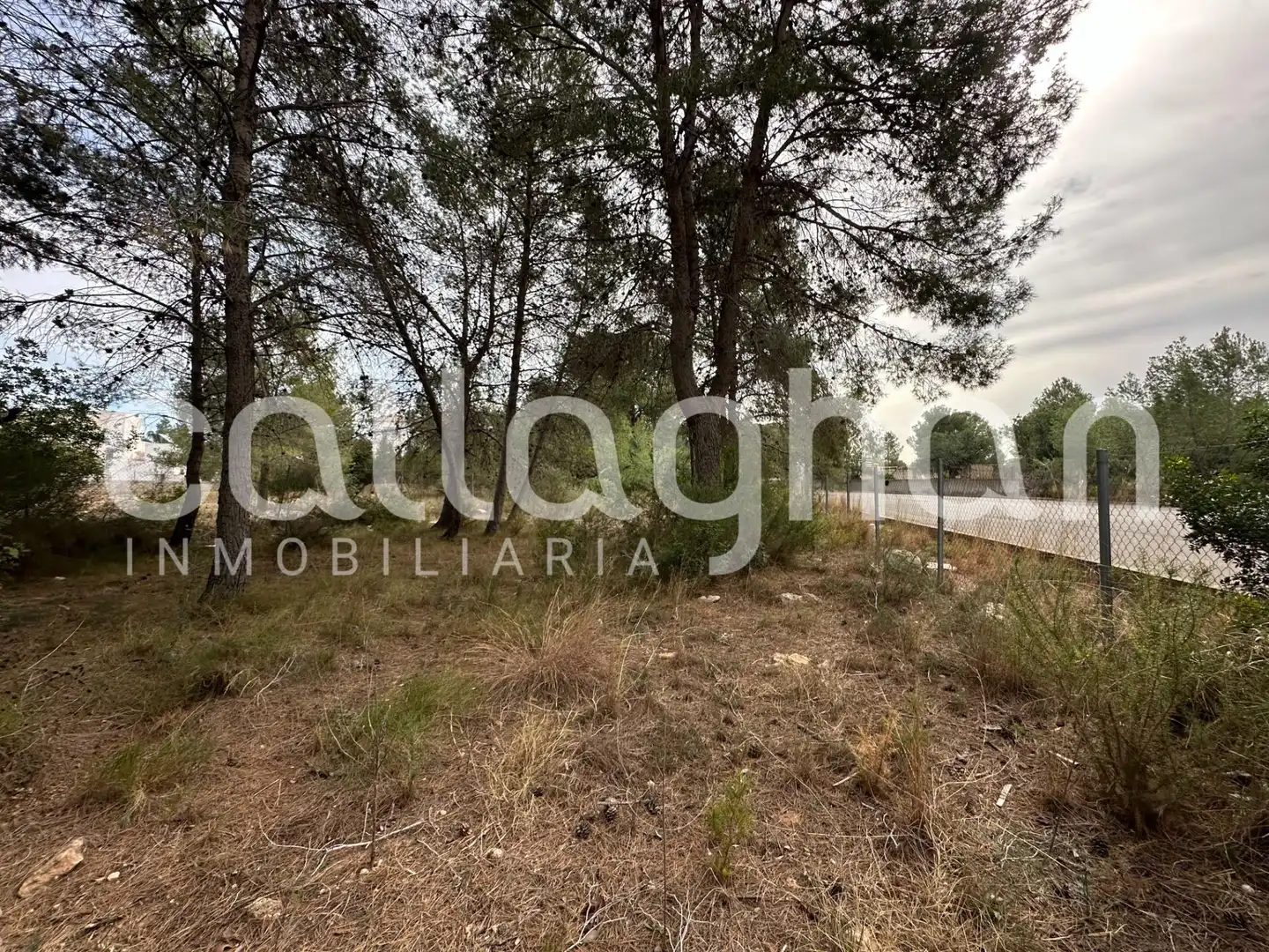 Terreny residencial en venda a Calle ESPARVER, imagen 6