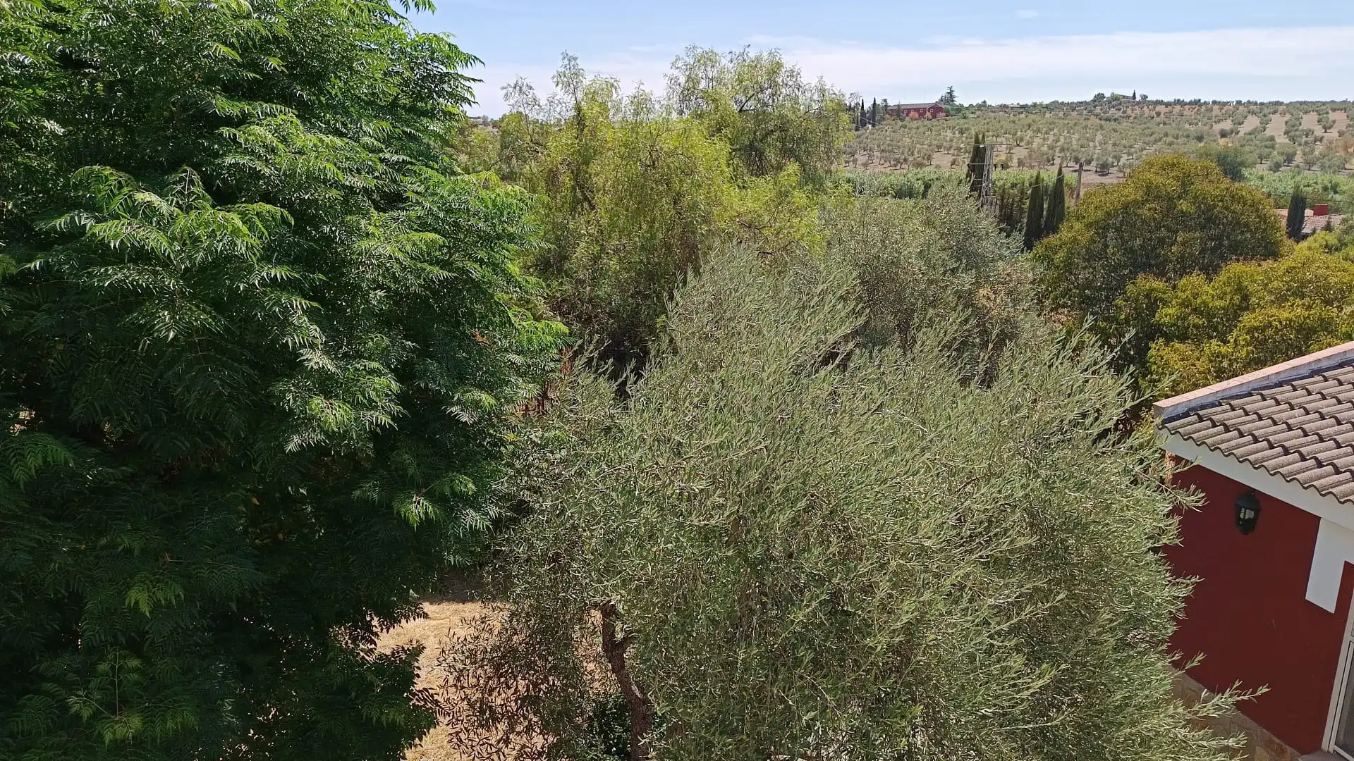 Xalet amb terrassa en venda a Calle el Peral, imagen 36