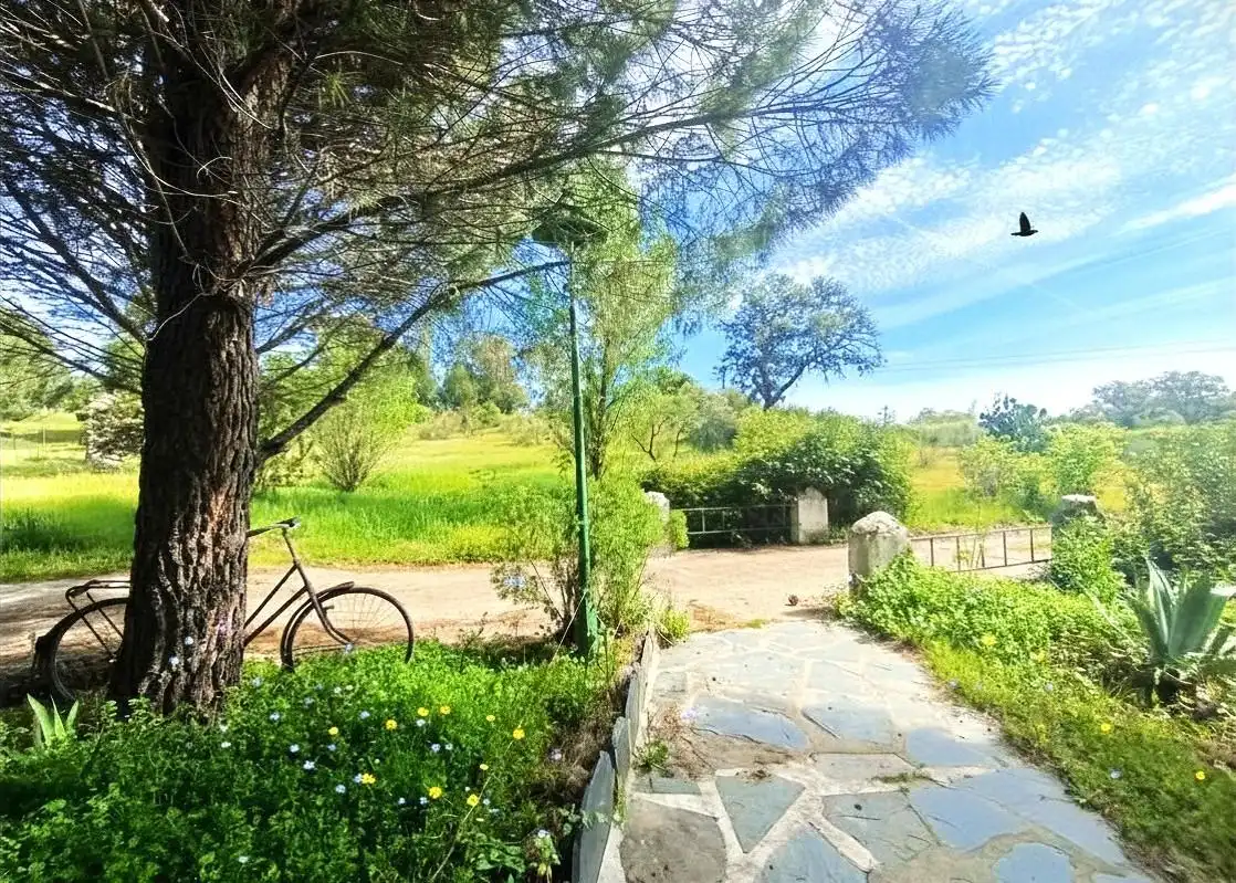 Haus zum Verkauf in San Román de los Montes, imagen 11