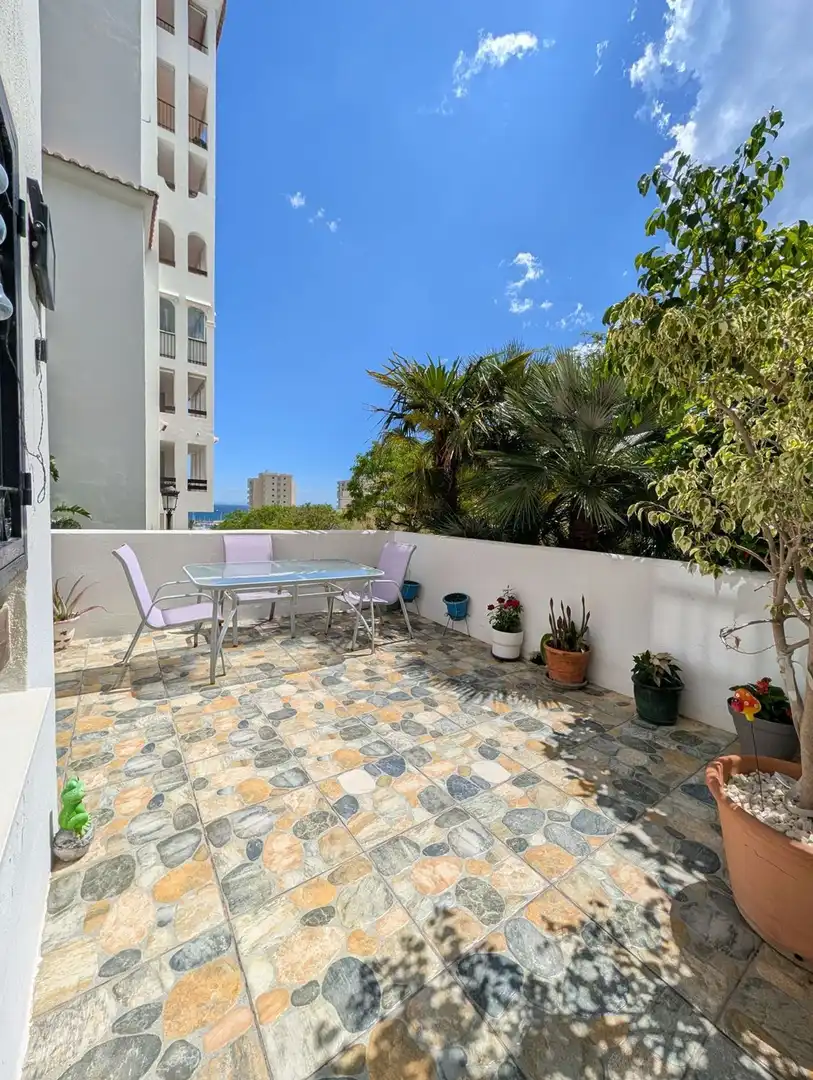 Rez-de-chaussée avec terrasse à vendre à Reina sofia 45