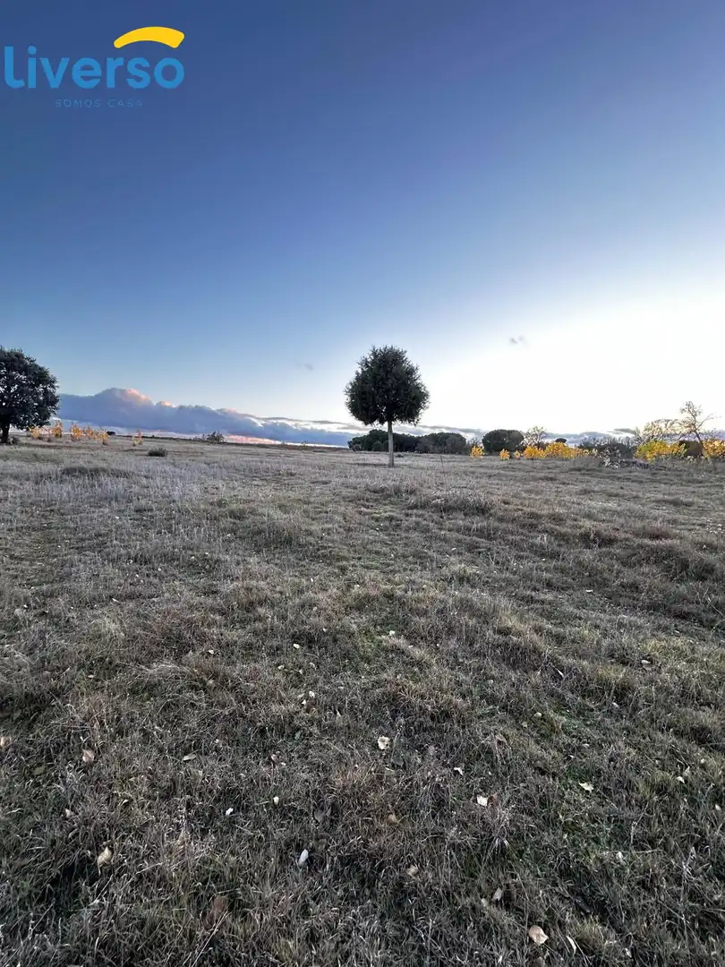Terreno rústico en venta en Allendeduero, imagen 4