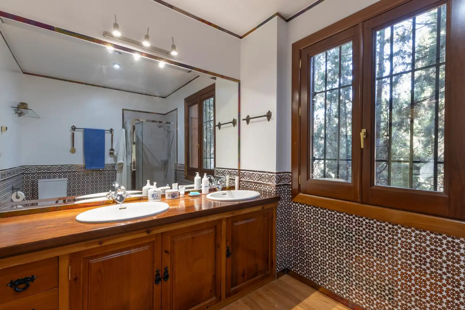 Detached house with terrace for sale in Calle ALEMANIA, imagen 34