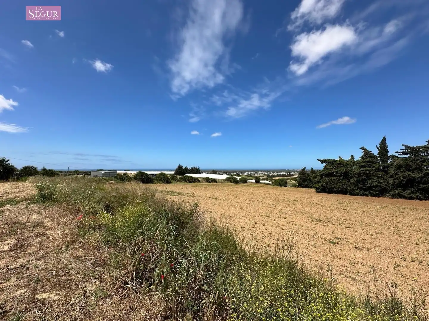 Terreno en venta en Conil de la Frontera