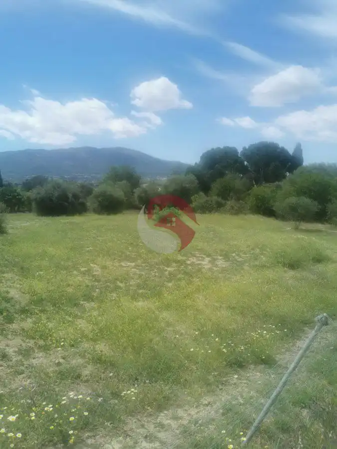 Terreni e lotti in vendita a Centro, imagen 14