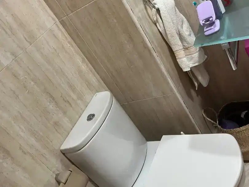 Bathroom of Flat for rent in Fuencarral - El Pardo