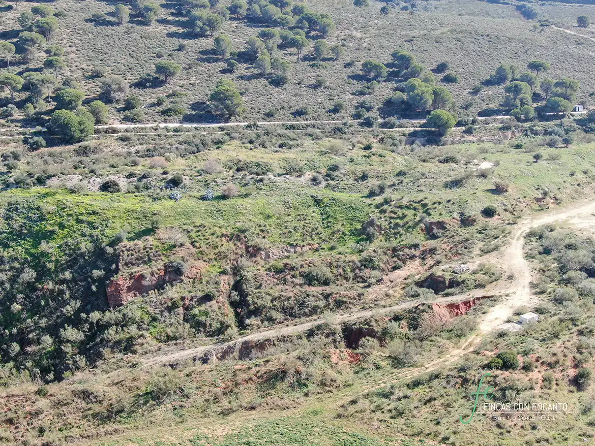 Terreno rustico in vendita a Arcos de la Frontera, imagen 10