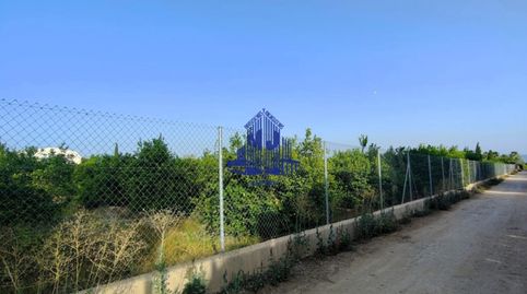 Parcela rustica, imatge 2