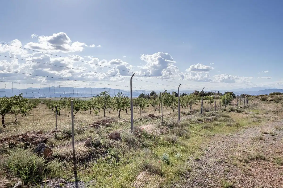 Terreni e lotti in vendita a Camino la finca el launero guadix, imagen 49