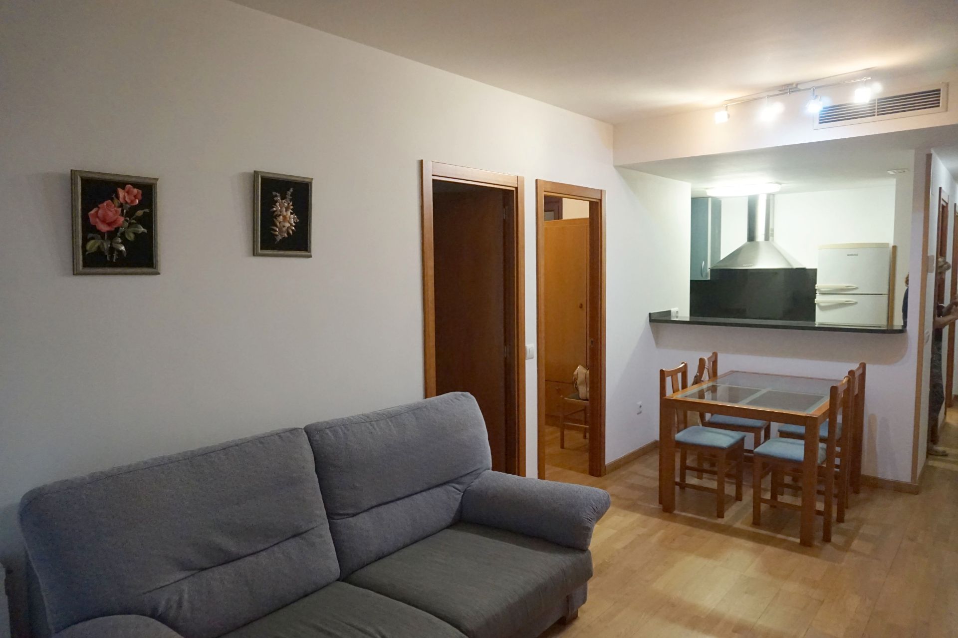 Sala d'estar de Pis de lloguer en Girona Capital amb Calefacció, Parquet i Moblat