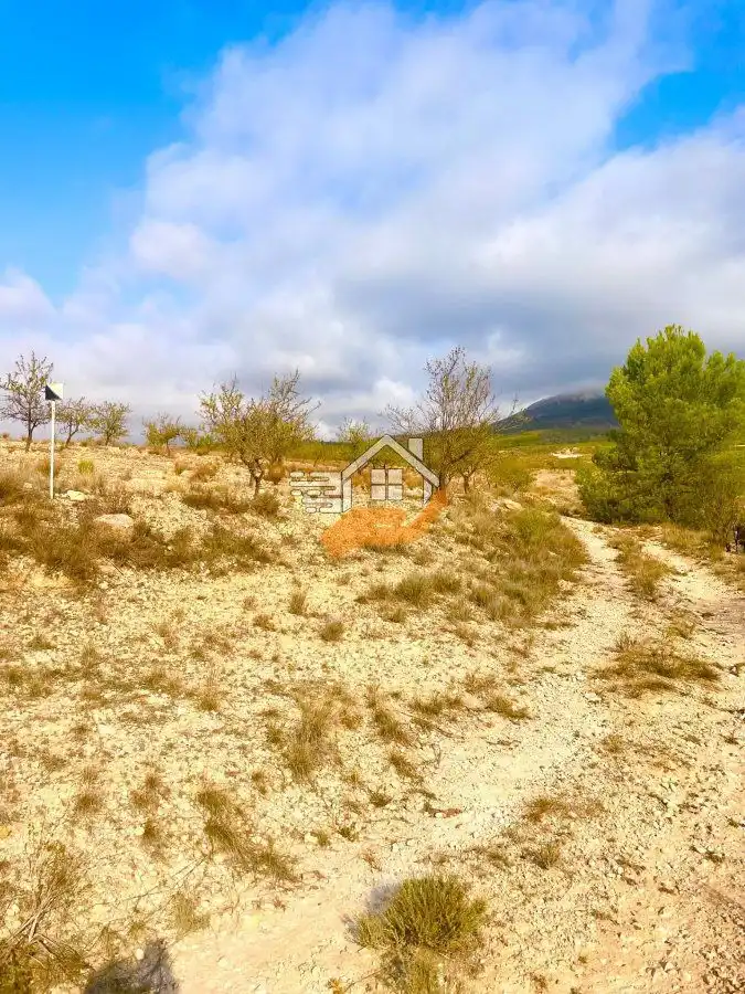 Terreny residencial en venda a Vélez-Rubio, imagen 3