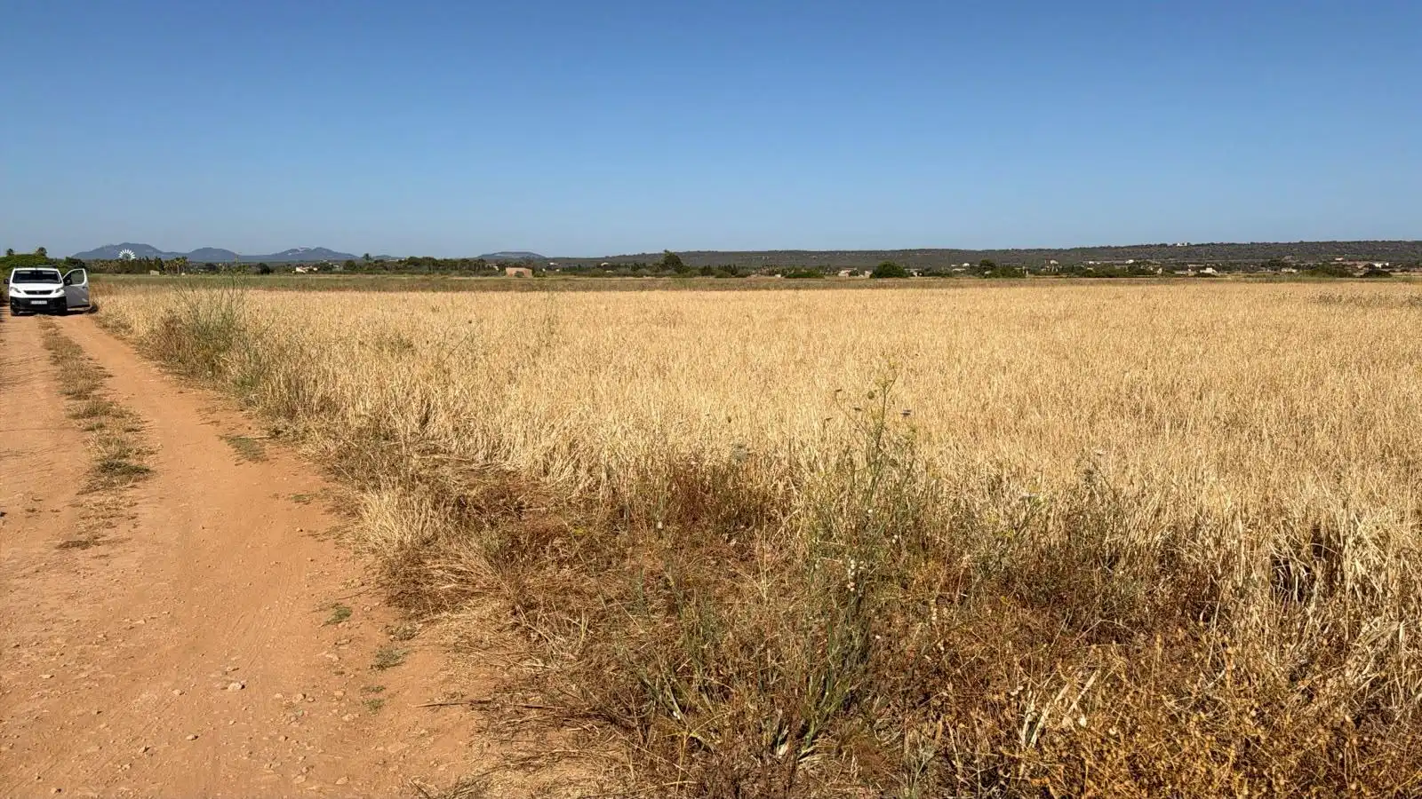 Terreny rústic en venda a Colònia Sant Jordi