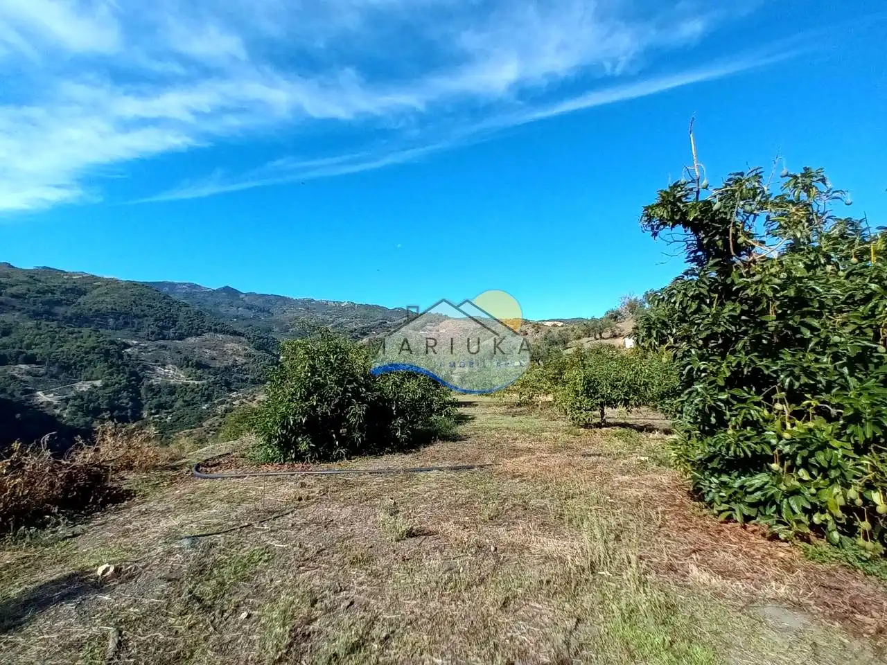 Country house for sale in Camino de las Herrerías, imagen 21