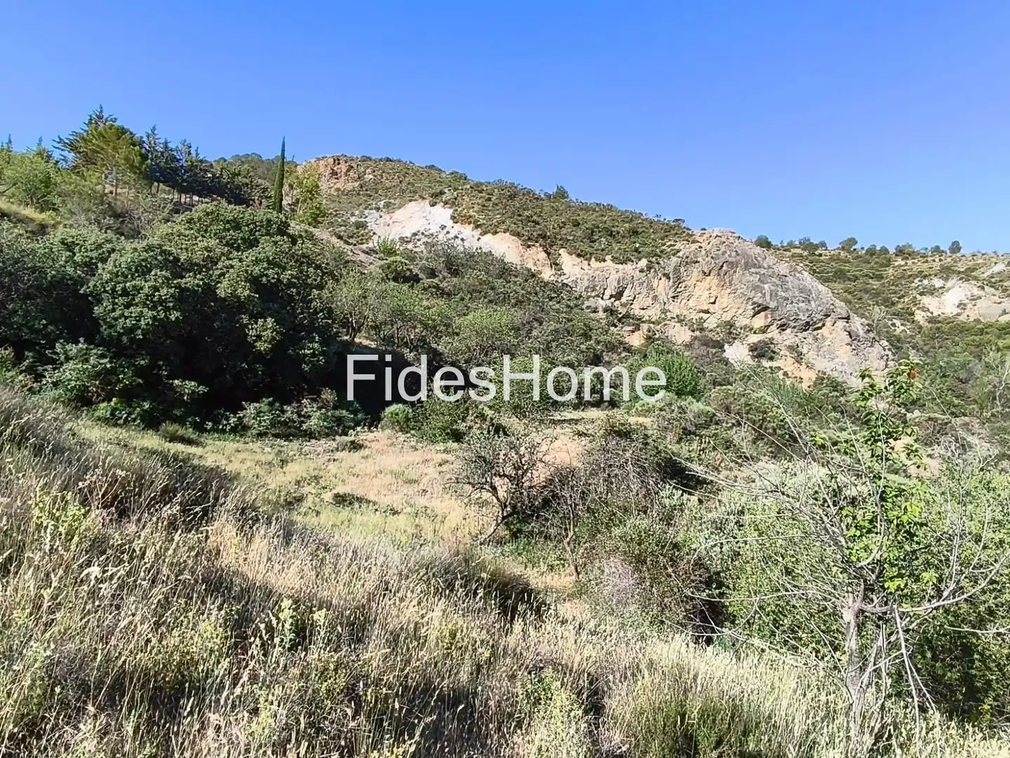 Rural land for sale in XFPP+9QX Nigüelas 0, imagen 15