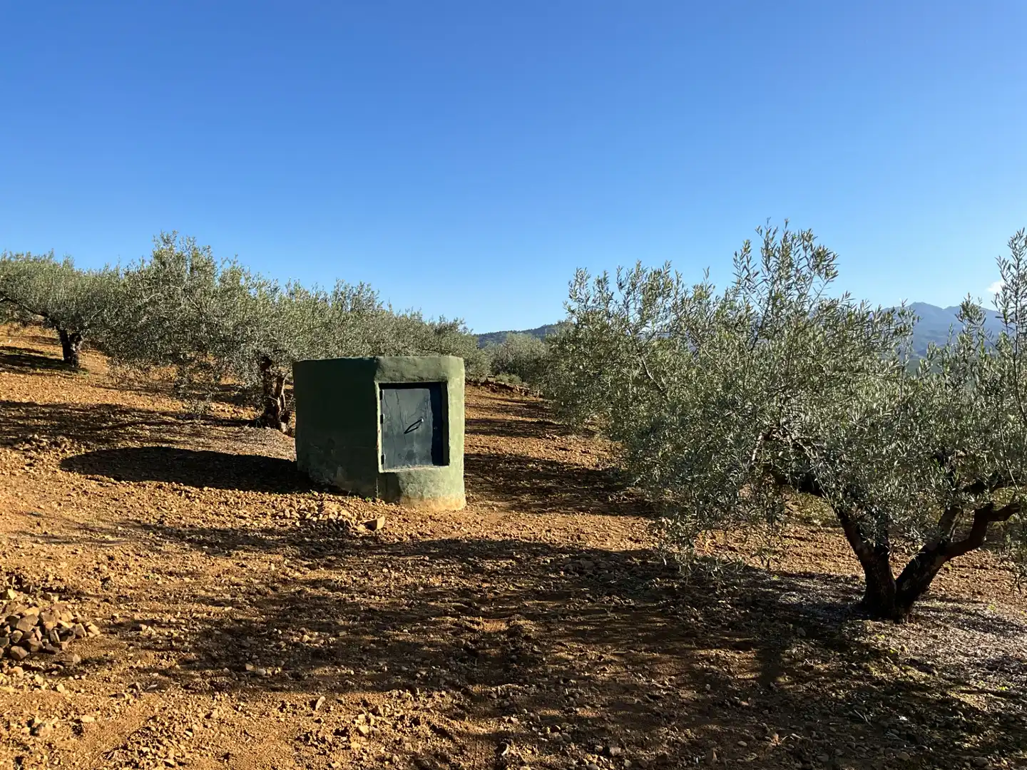 Vista exterior de Terreno en venta en Alozaina