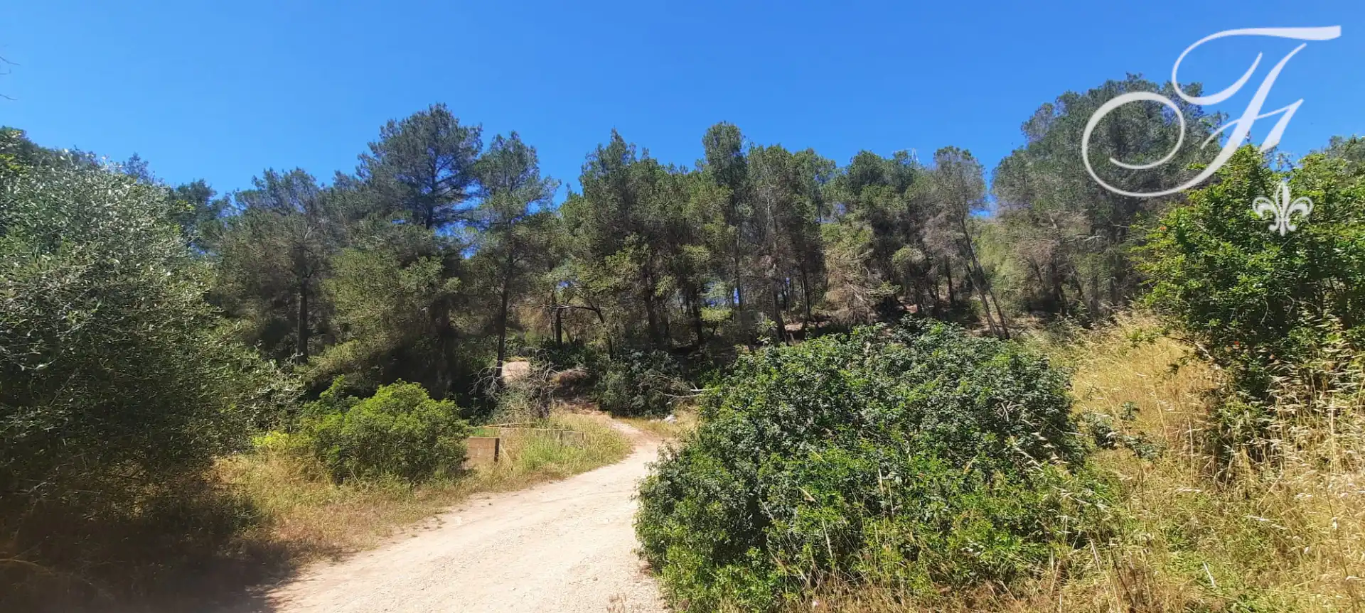 Terreny rústic en venda a Sant Jordi de Ses Salines-Sant Francesc