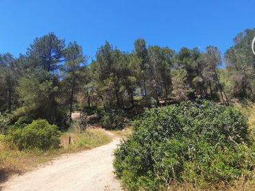 Terreny rústic en venda a Sant Jordi de Ses Salines-Sant Francesc