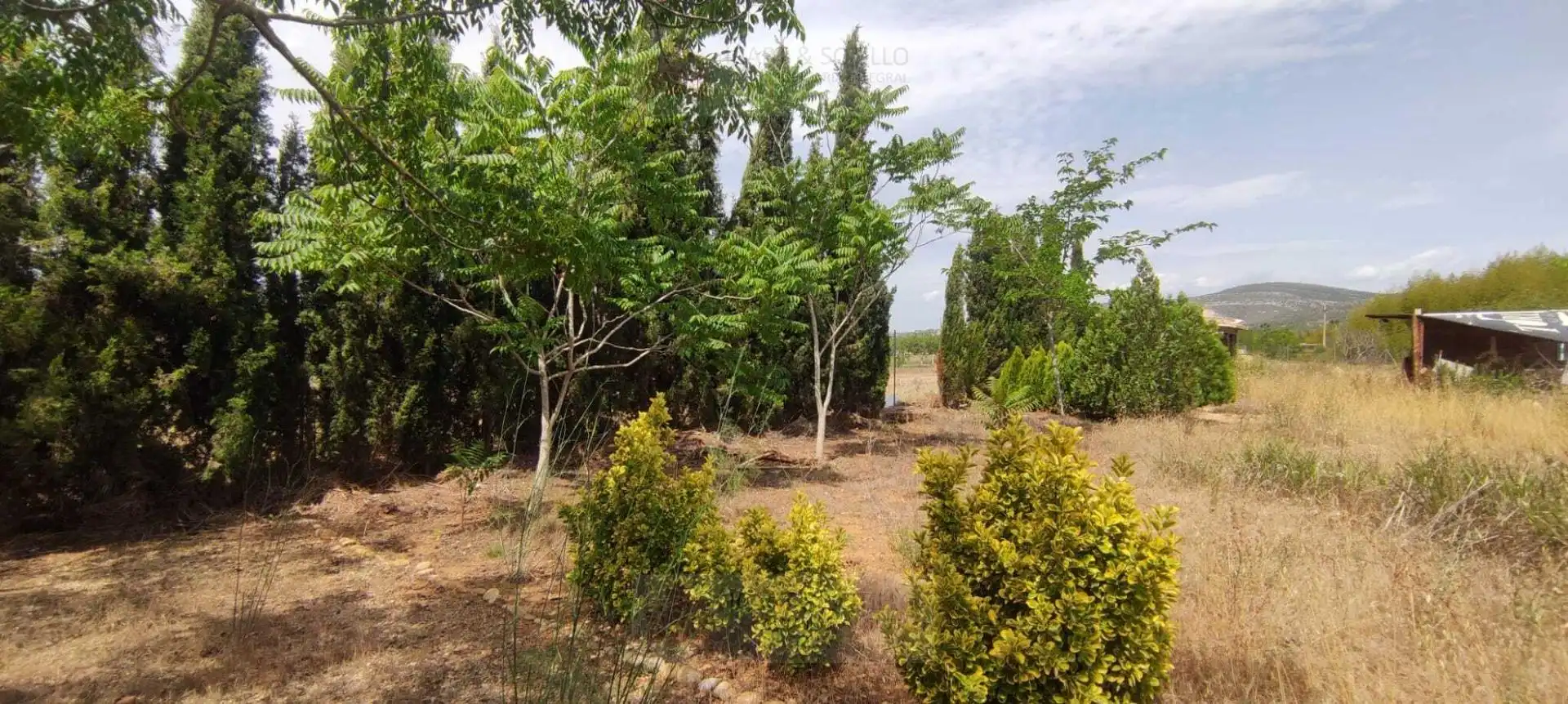 Terreny rústic en venda a Polígono Polígono 72 Paraje 33 LA FOIA, imagen 5