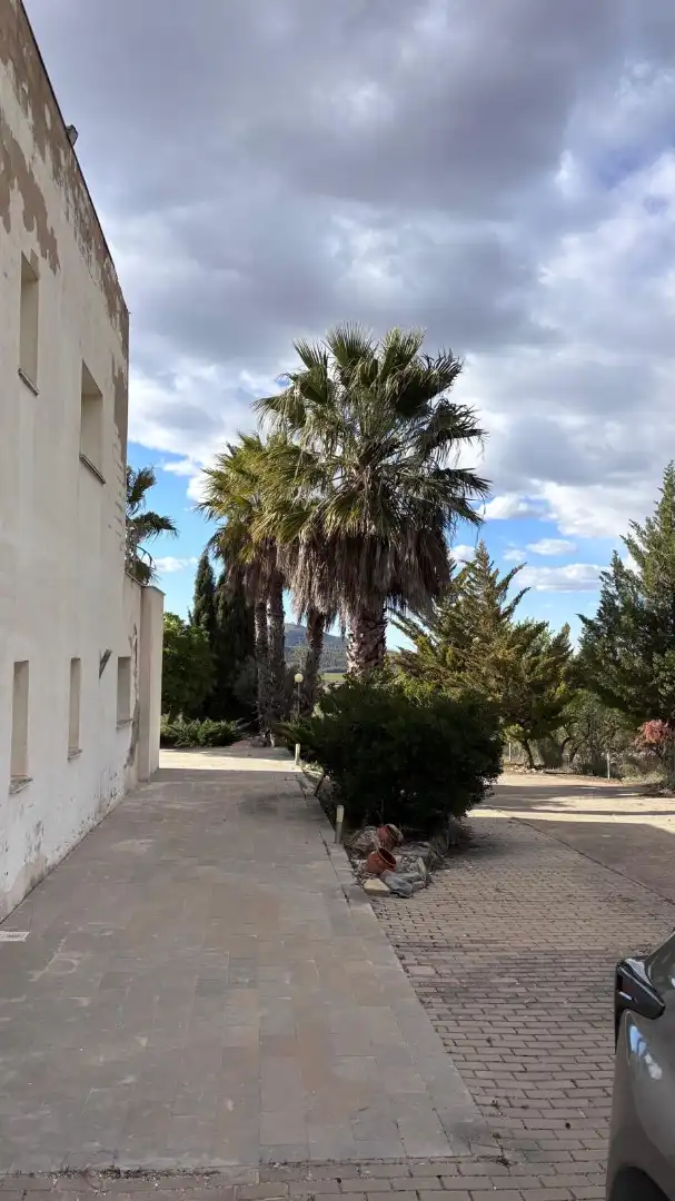Jardí de Casa o xalet en venda en Cehegín amb Aire condicionat, Calefacció i Jardí privat