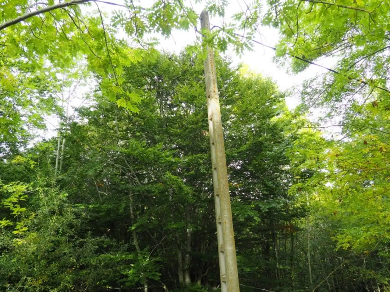 Xalet amb jardí en venda a Lugar Rioseco 28, imagen 28