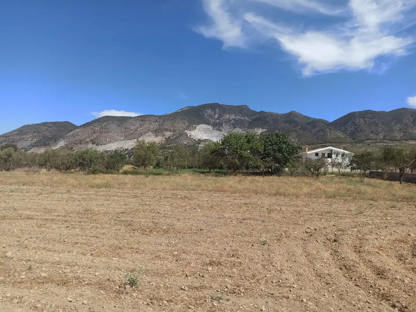 Rural land for sale in Dúrcal, imagen 12