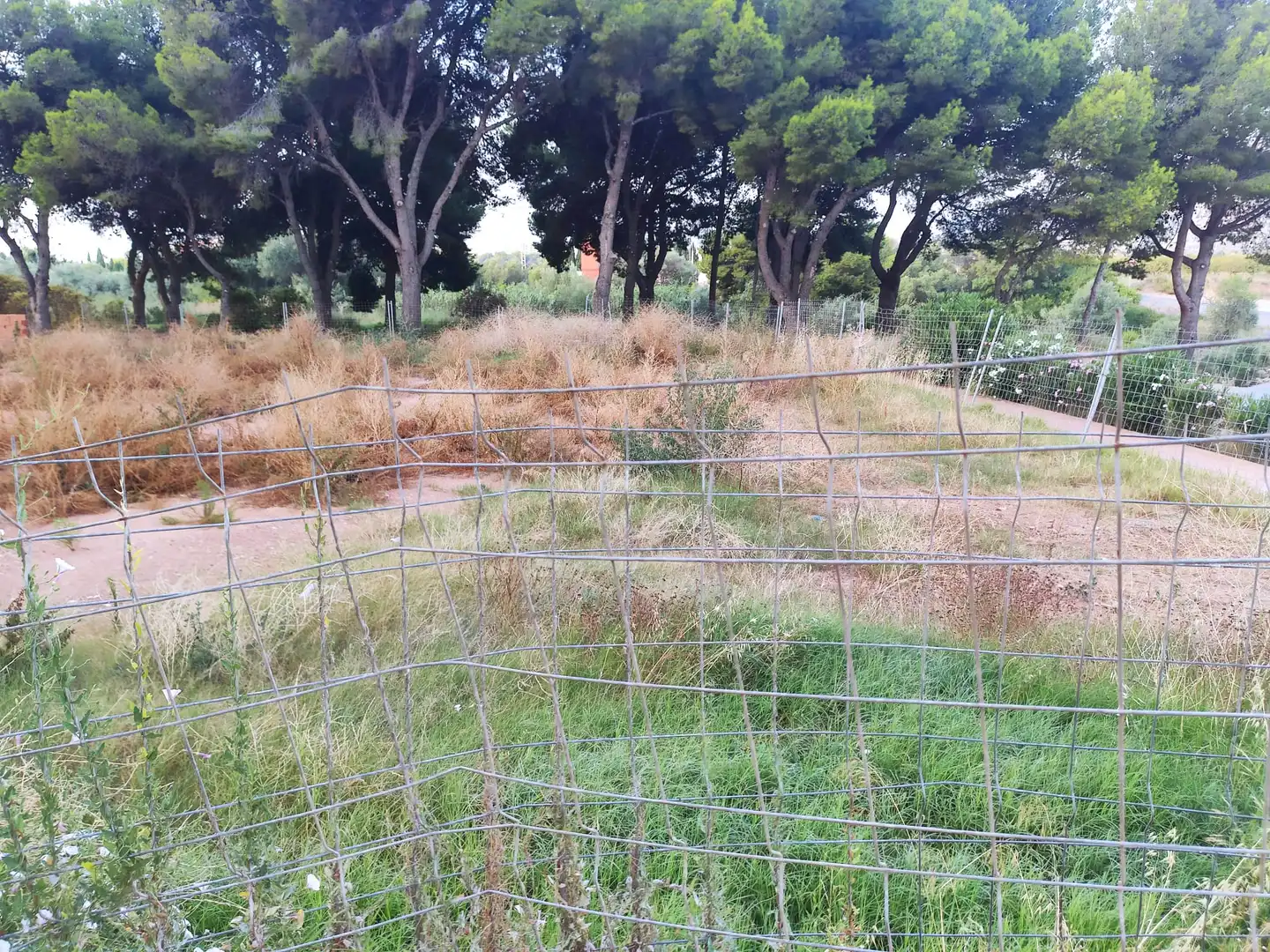 Residencial en venda en Oropesa del Mar / Orpesa