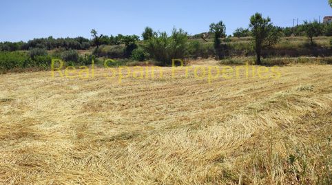 Image 4 de l'annonce