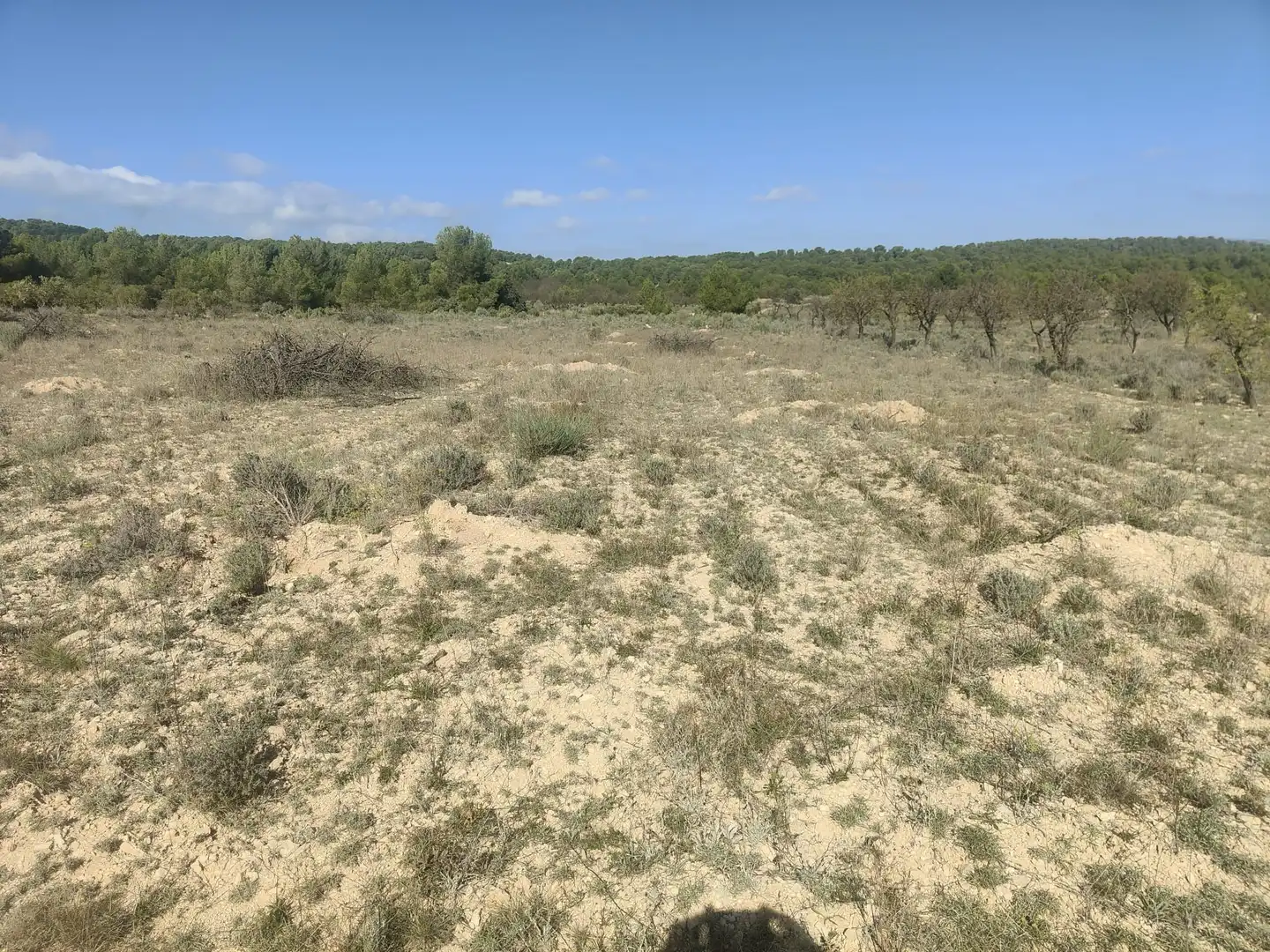 Residential land for sale in Tibi