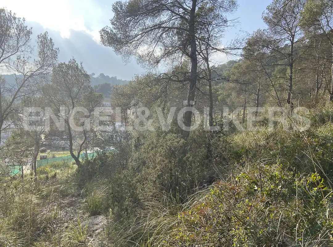 Terreno residencial en venta en Canyelles, imagen 15