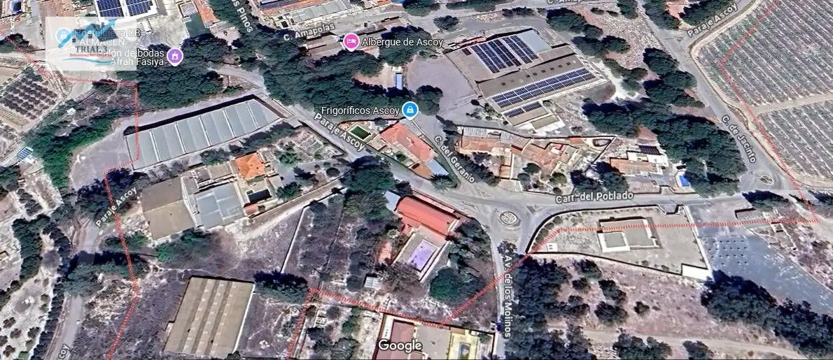 Exterior view of Houses for sale in Cieza  with Private garden, Terrace and Storage room