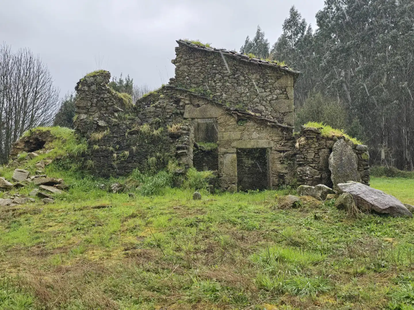 Vista exterior de Finca rústica en venda en Cerceda amb Jardí privat
