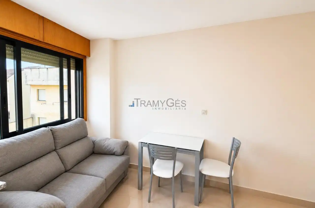 Wohnzimmer von Wohnung zur Miete in Tomiño mit Heizung und Möbliert