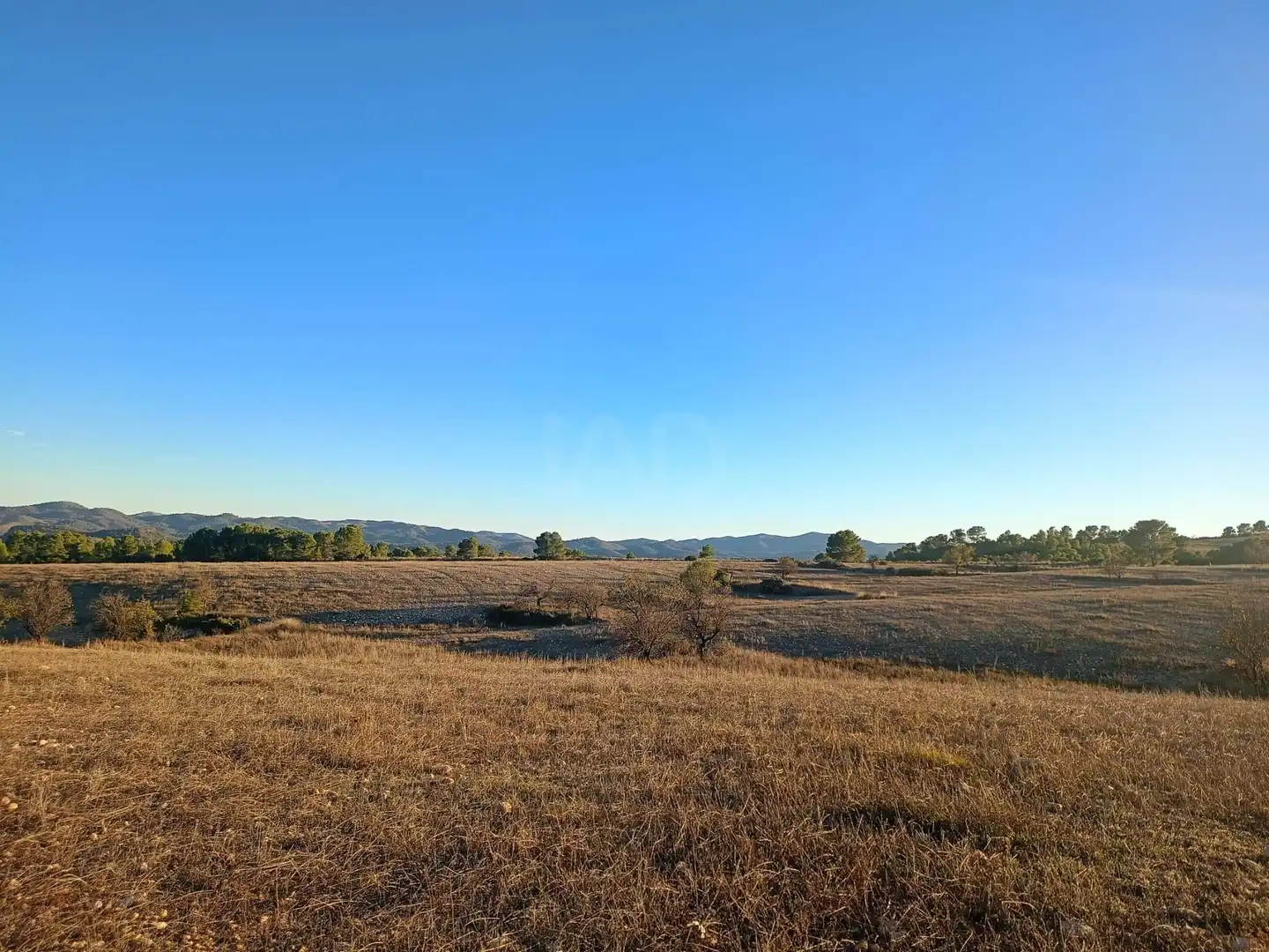 Terreno en venta en Lorca
