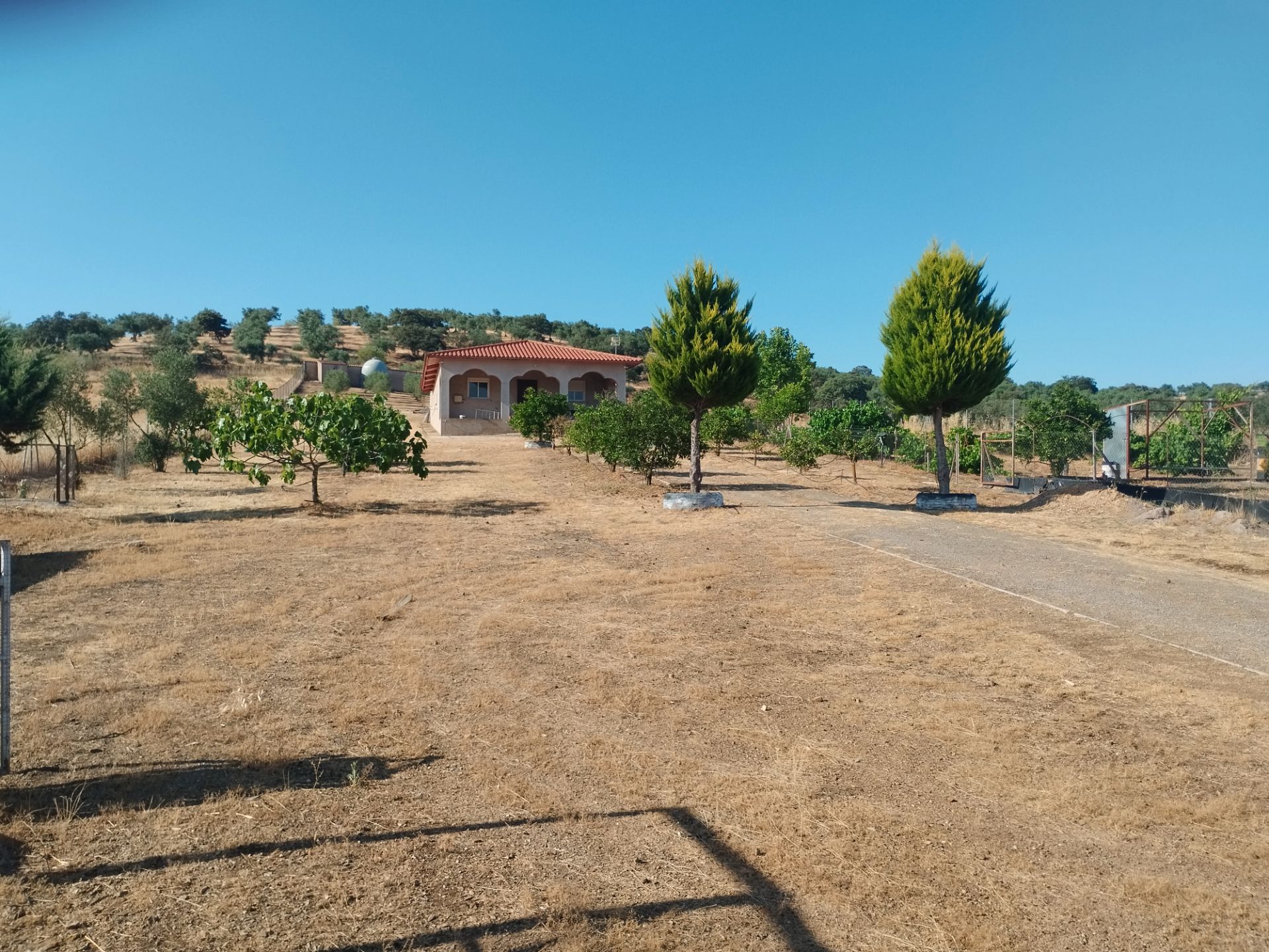 Finca rústica en venda en Atalaya amb Jardí privat i Traster